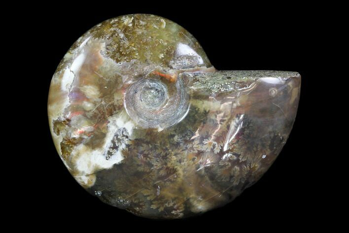 Iridescent, Red Flash Ammonite - Madagascar #82432